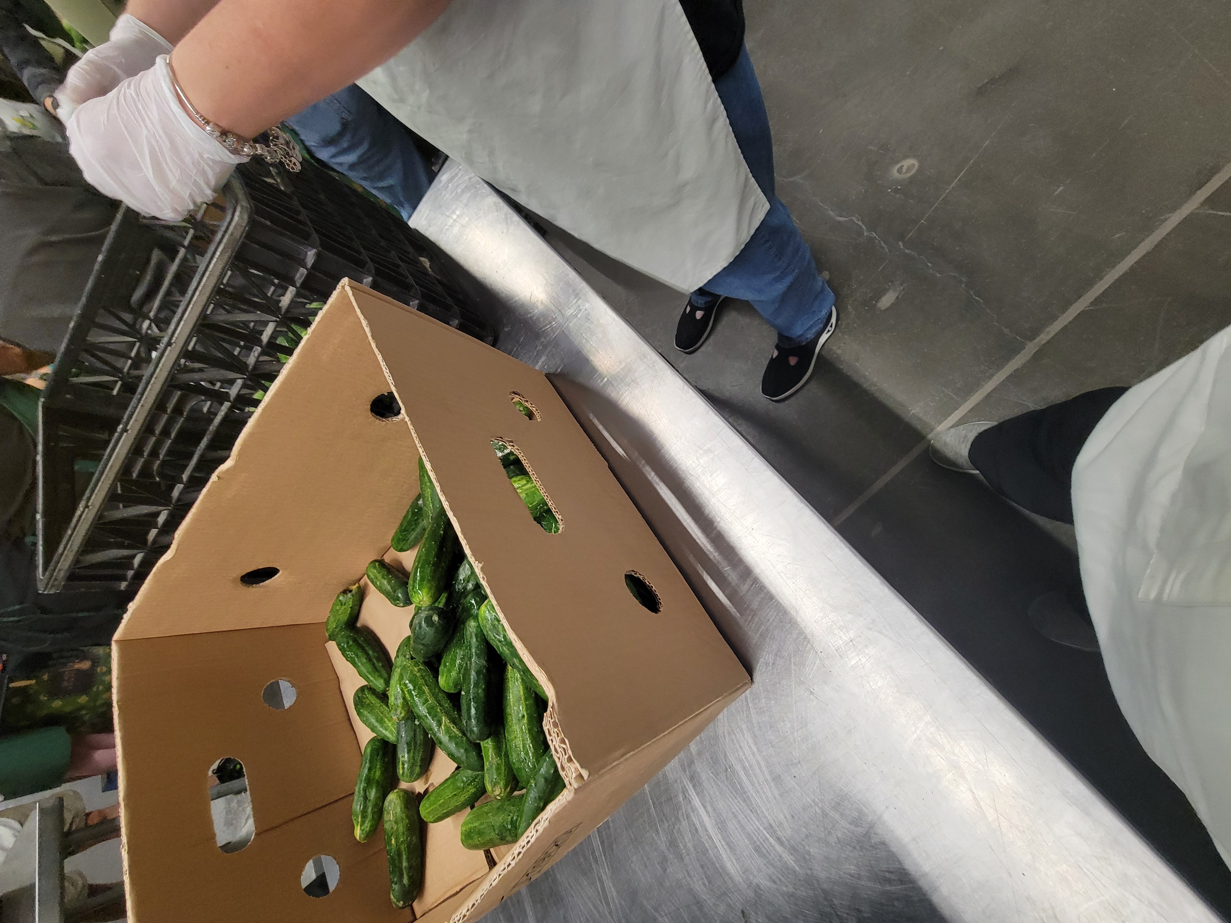 Cardboard banana box filled with cucumbers in it and a female holding a crate next to it on a metal table.